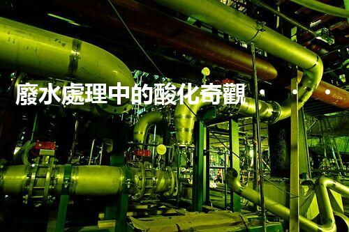 廢水處理中的酸化奇觀？